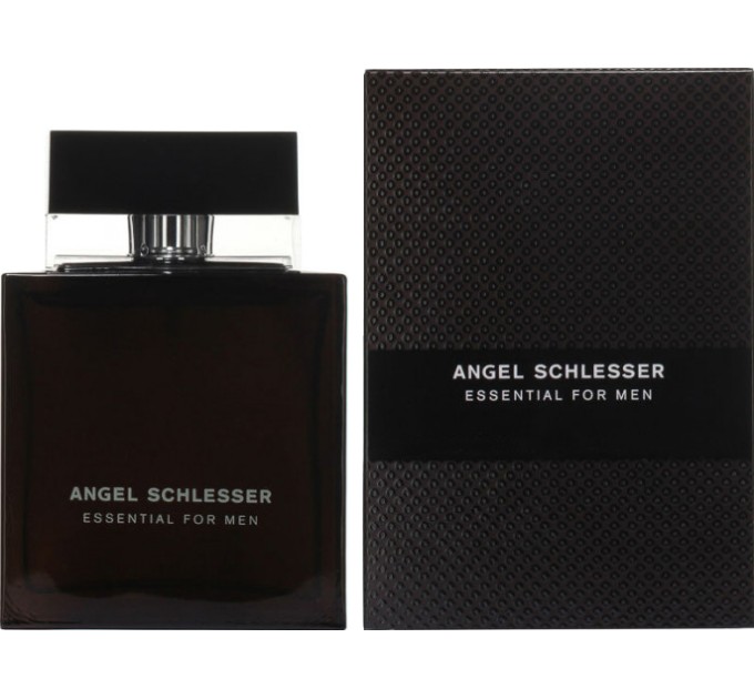 Туалетная вода мужская Angel Schlesser Essential 2006 100 мл - Агонь-В