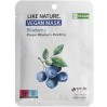 Маска для лица с черникой Eyenlip Like Nature Vegan Mask Pack Blueberry 25 мл (8809555253099)