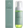 Пенка для умывания Вogenia Centella Cleansing Foam BG421 №001 150 мл (4823124402774)