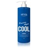 Охлаждающий шампунь для кожи головы - Artvivi Premium Aqua Cool Shampoo 1000 мл