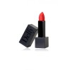 Матовая губная помада Delfy Professional Black Velvetly Matt Lipstick – идеальный шик в маковом красном оттенке!