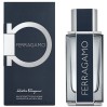 Туалетная вода мужская Salvatore Ferragamo Ferragamo 2020 100 мл (00-00025928) – Элегантный выбор для уверенных мужчин