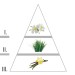 Изысканный аромат LAROME 50F Narcisos 20 мл – идеальный выбор для женщин