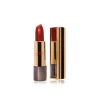 Насыщенный цвет и длительная стойкость: Губная помада Delfy Professional Lipstick Duo Gold Распберри Вайн