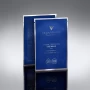 Увлажняющая маска-патч под глаза Vigor 1 шт