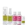 Дорожный набор для проблемной кожи Marie Fresh cosmetics 5 шт