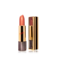 Губная помада Delfy Professional Lipstick Duo Gold Кофе 4 г (5060465714923)